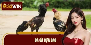 Đá Gà Cựa Dao 33WIN Nảy Lửa, Mỗi Trận Phân Định Chỉ Vài Phút