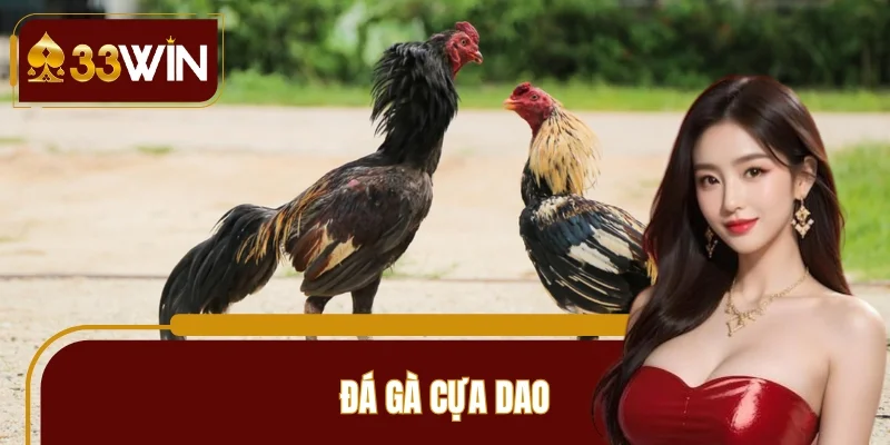 Đá Gà Cựa Dao 33WIN Nảy Lửa, Mỗi Trận Phân Định Chỉ Vài Phút