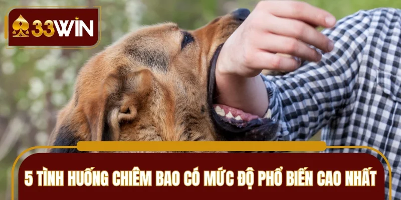 5 tình huống chiêm bao có mức độ phổ biến cao nhất