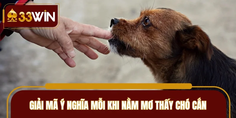 Giải mã ý nghĩa mỗi khi nằm mơ thấy chó cắn