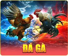 đá gà 33win