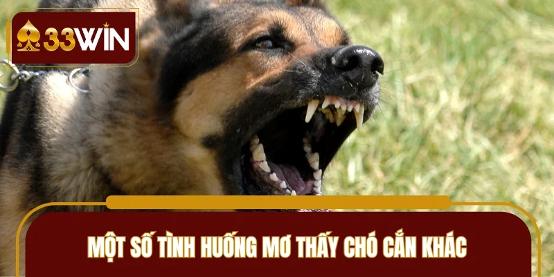 Một số tình huống khác kèm con lô may mắn