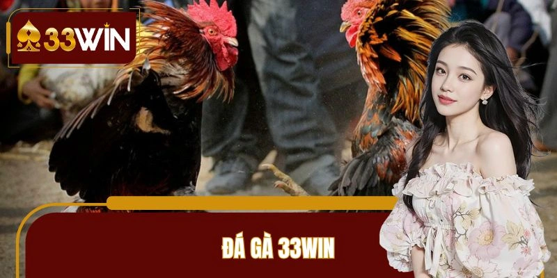 đá gà 33win
